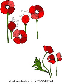 red poppies