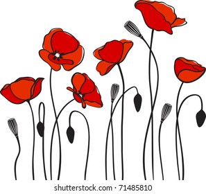 Red Poppies