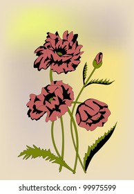 red poppies