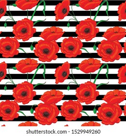 Red poppies and black stripes pattern