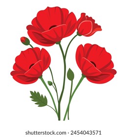 Red poppies bouquet isolated on white background. Vector illustration.