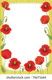 Red poppies  with a copy space