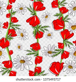 Red poppies and daisies. Seamless pattern. Vector illustration