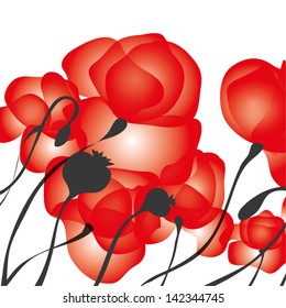 red poppies elegant vector background banner