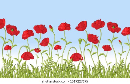 Red Poppies Field. Hand drawing Vector illustration.