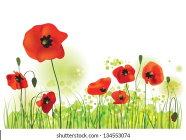 Red Poppies Field, summer landscape, vector illustration