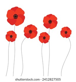  red poppies flowers growing isolated on white background. Vector illustration.