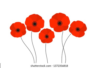 Red poppies flowers isolated on white background. Vector illustration.