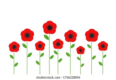 Red poppies flowers. Vector illustration.