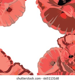 Red poppies frame. Vector illustration on white background