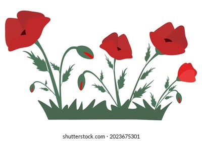 Red poppies in the grass. Design element for for Remembrance Day, Anzac Day. Vector illustration Isolated on white background