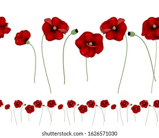 
red poppies horizontal seamless pattern on a white background.