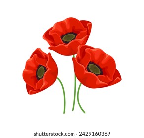 Red poppies isolated on white background. Vector cartoon illustration of beautiful bright flowers.