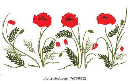 Red poppies - isolated on white background - art vector illustration.