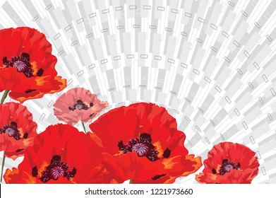 Red poppies on a background of gray rays, realistic painted in vector, scarlet flower, solemn, bright, symbol of memory, anzac day