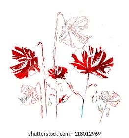 Red poppies on a white background