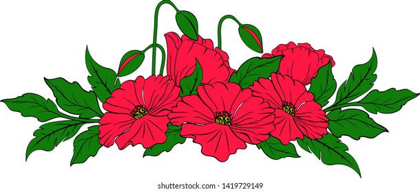 Red poppies on white background with space for text