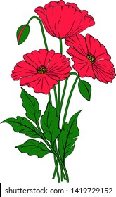 Red poppies on white background with space for text