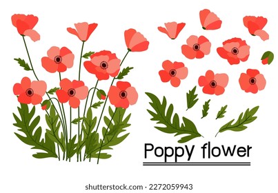 Red poppies on white background.Eps 10 vector.