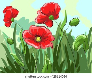 red poppies painted by hand grow on the field with green leaves. Vector illustration