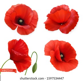 Poppy Cartoon Hd Stock Images Shutterstock