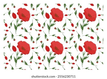 Red poppies pattern. Red poppy flowers or anemones, stems and leaves on white background. Vector illustration for print, cards, packaging and other design