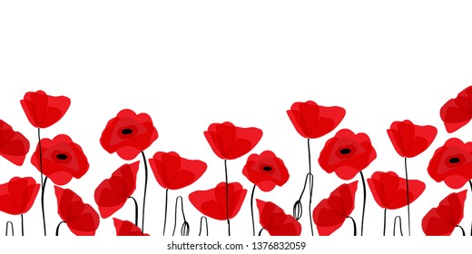 Red poppies in a row. Isolated on white background. Vector illustration