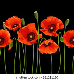 Red poppies in a row on black background. Vector illustration