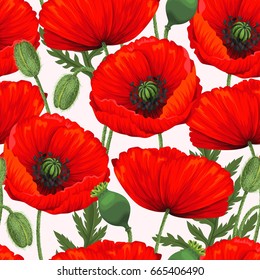 Red poppies seamless