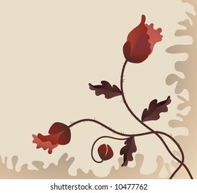 red poppy