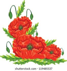 red poppy