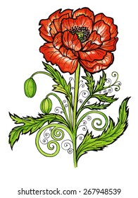 red poppy
