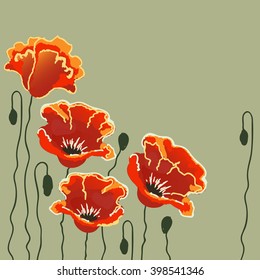red poppy