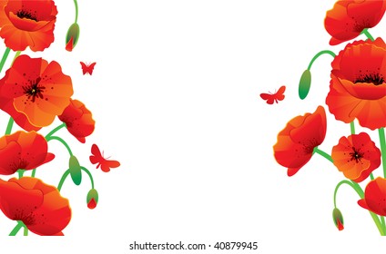 Red poppy