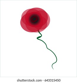 Red poppy
