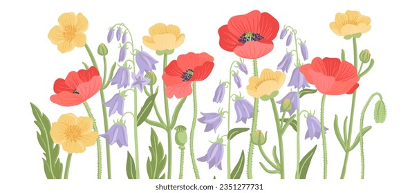 red poppy, bellflowers and yellow buttercups, field flowers, vector drawing wild plants at white background, floral elements, hand drawn botanical illustration