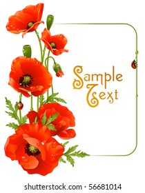 Red poppy card