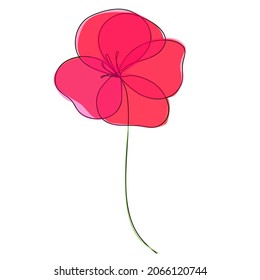 Red Poppy in Continuous Line Drawing Isolated on White Background. Sketchy Flower. Vector Outline Simple Artwork with Editable Stroke.