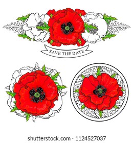 Red poppy decorative elements set with bright fresh flowers bouquets in sketch style isolated on white background - hand drawn elegant floral compositions in vector illustration.