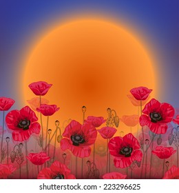 Red poppy field on a background of orange sunset and blue sky. Transparent silhouettes of poppies