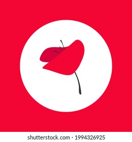 Red poppy flower in red circle. Wild scarlet bloom. Vector illustration. Eco, floral, natural, love card. Vector flat logo isolated on white. Remembrance Day, Memorial Day, Anzac Day