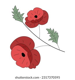 Red poppy flower design element
