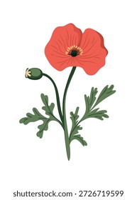 Red poppy flower. Flat vector clipart, illustration with isolated background.