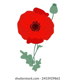 Red poppy flower with green leaves. Vector illustration. Symbol of memory, military and victory