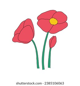 Red poppy flower hand drawn illustration vector.