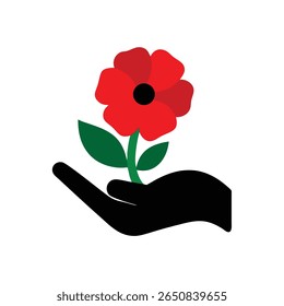 Red poppy flower held in a hand Remembrance Day symbol on green
