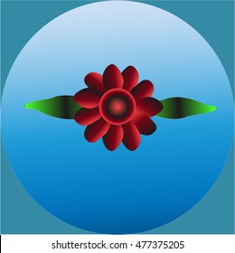 red poppy flower isolated on a blue background