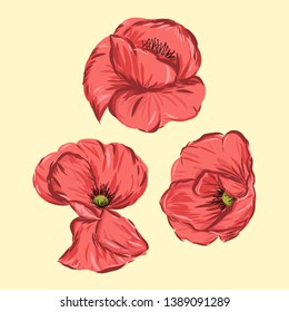 Red Poppy flower isolated vector illustration elements.