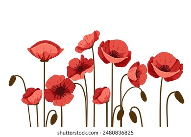 Red poppy flower in a row simple design vector illustration isolated on white background