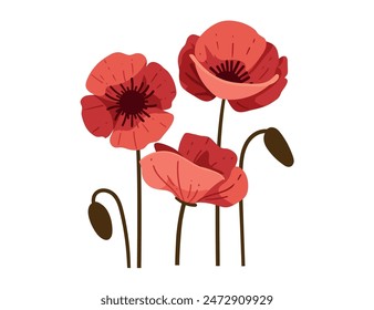 Red poppy flower simple design vector illustration isolated on white background